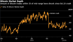 Bitcoin treasury companies facing crisis as BTC volatility impacts corporate balance sheets